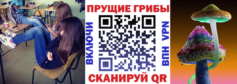 Псилоцибиновые грибы MAGIC MUSHROOMS  сколько стоит  Удачный 